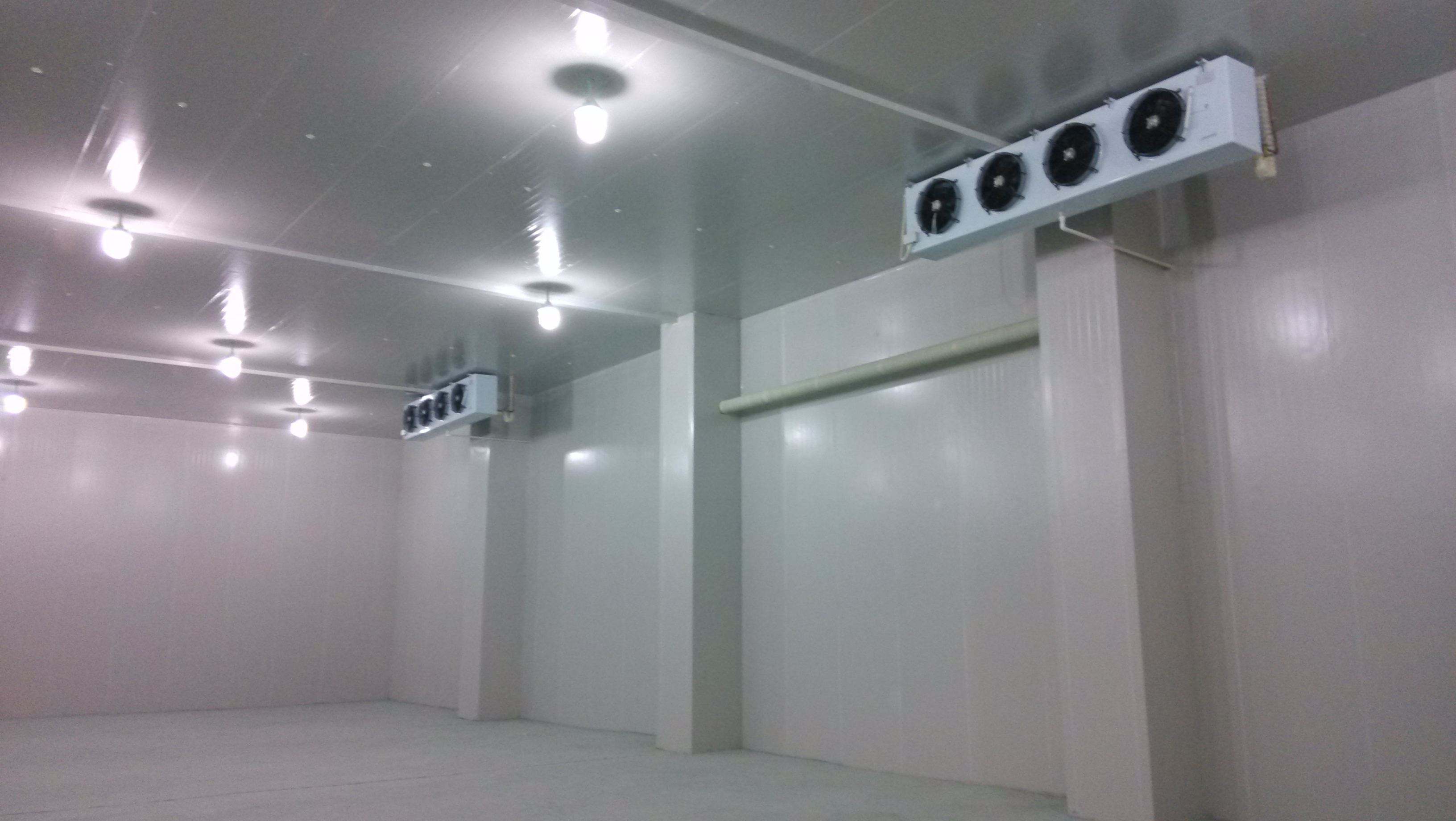 在上海建一个1000平方生鲜冷藏库要多少钱？
