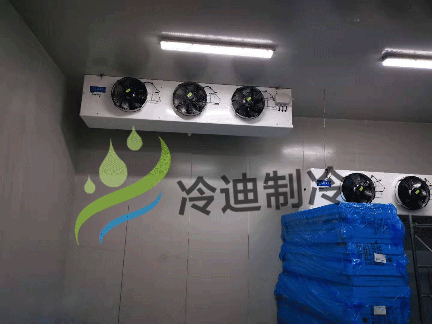 如何正确的使用生鲜冷藏库?