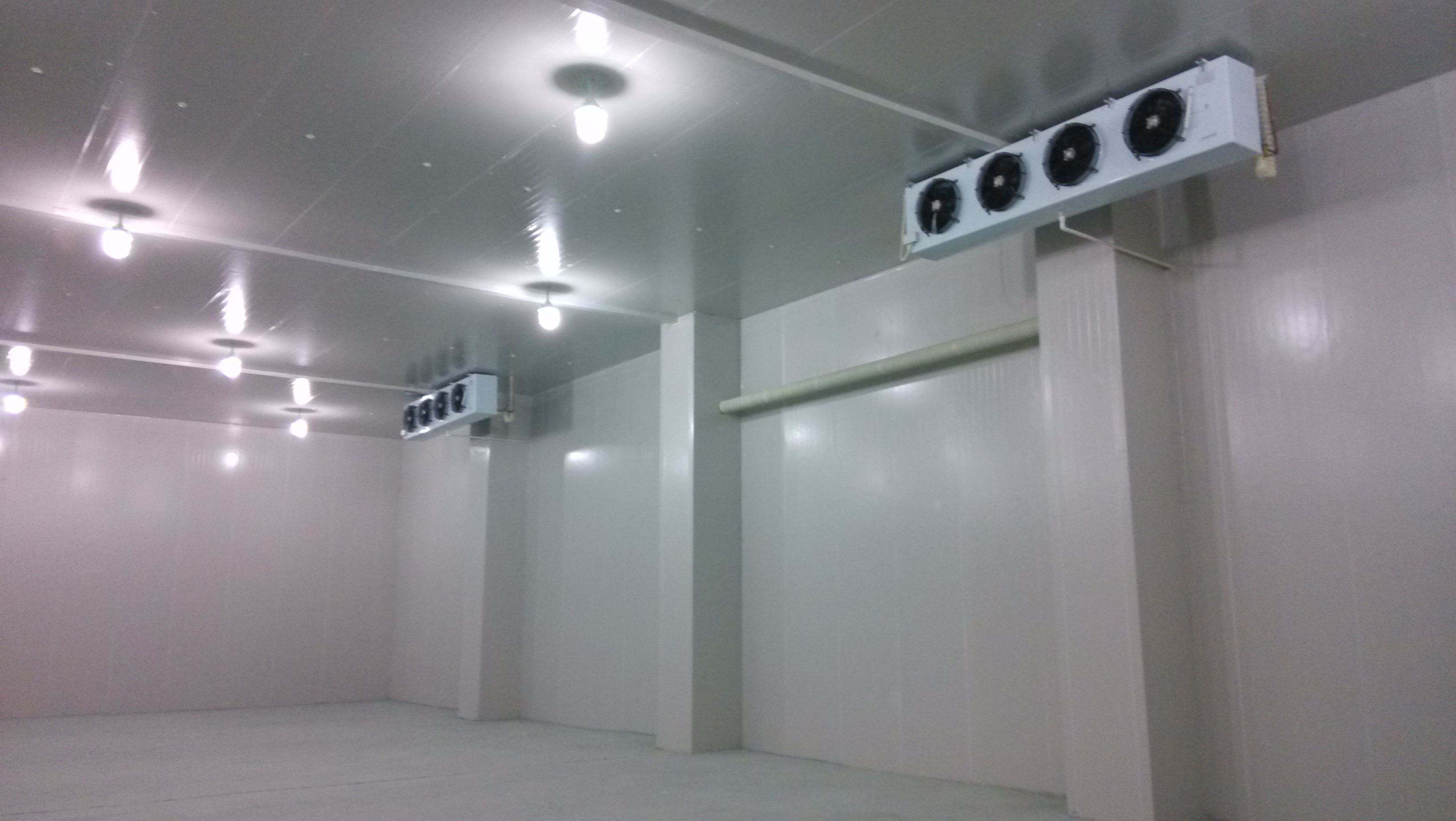 想开个水果店需要建造冷库吗?