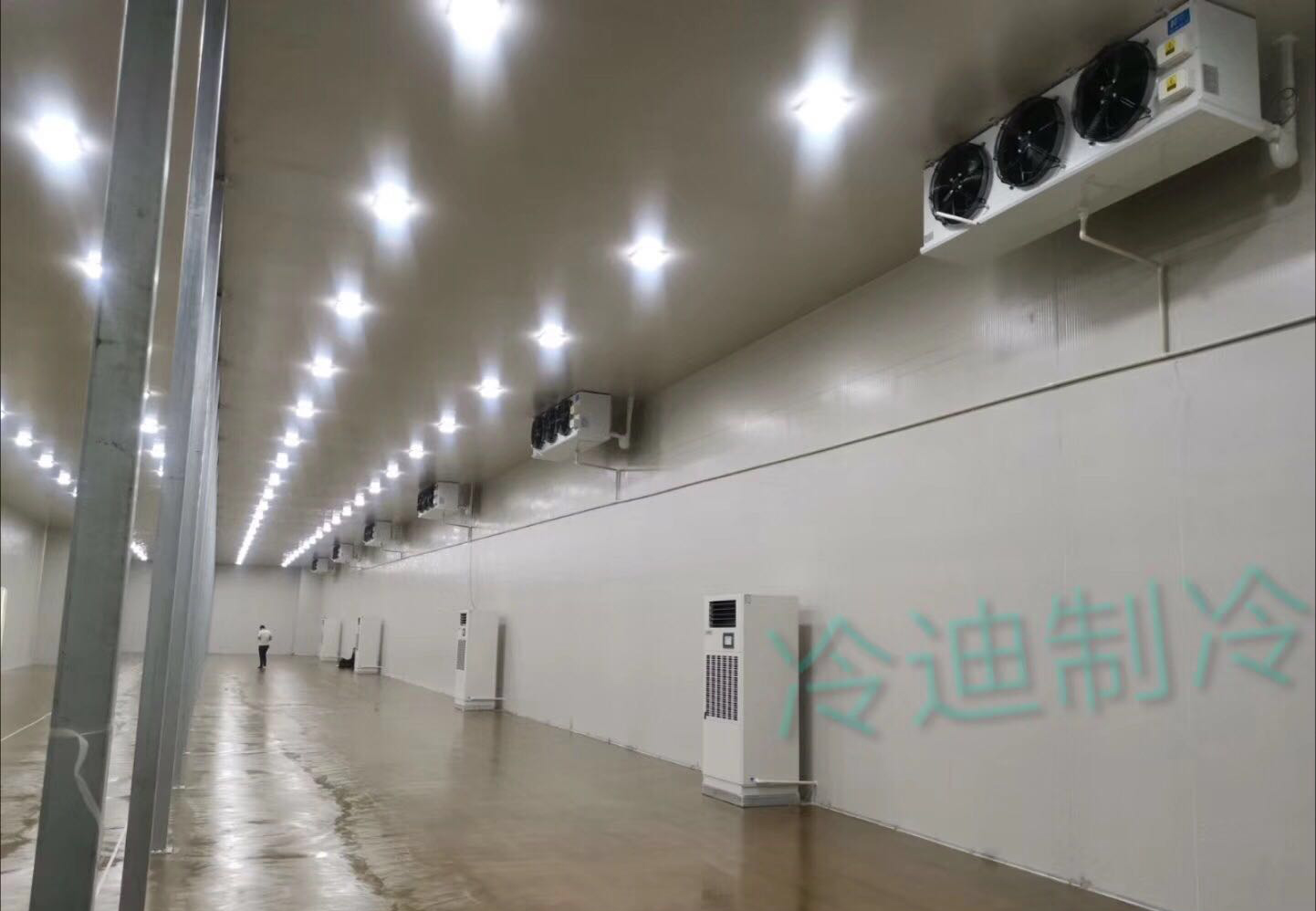 上海150立方-20℃低温血浆冷藏库建造预算多少钱?