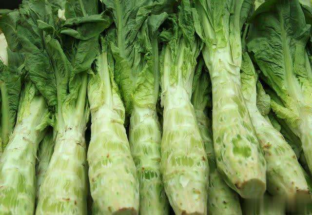 100吨莴笋蔬菜生鲜冷藏库建造一平米多少钱?