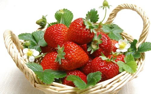 建造150吨草莓水果保鲜冷藏库大约需要多少钱？
