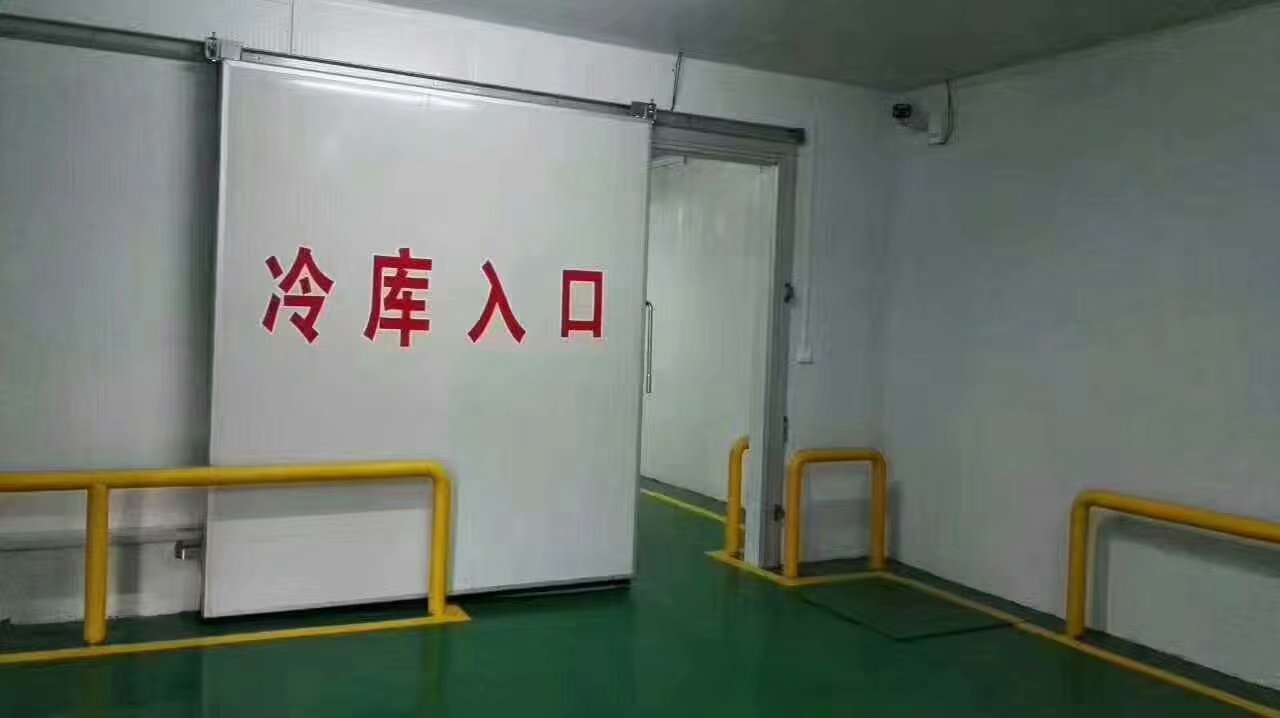 -25℃大型冻肉食品冷冻库安装设计全套报价?