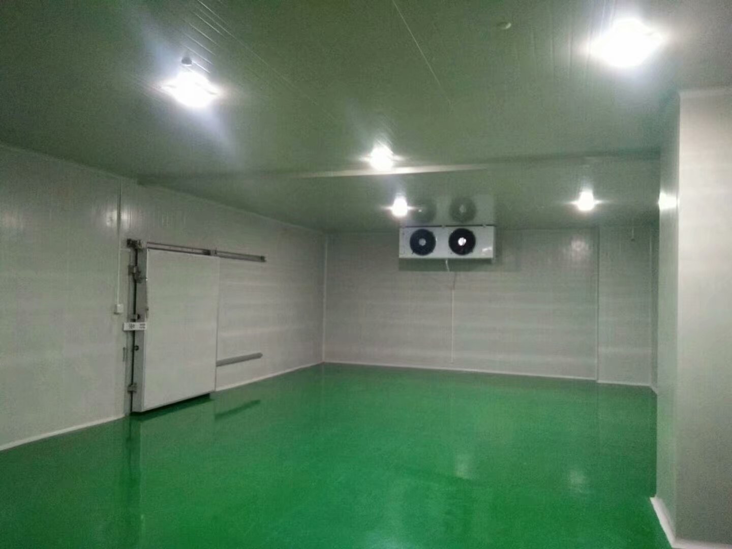 5000吨海鲜冷冻库(低温冷链运输)设计需多少钱