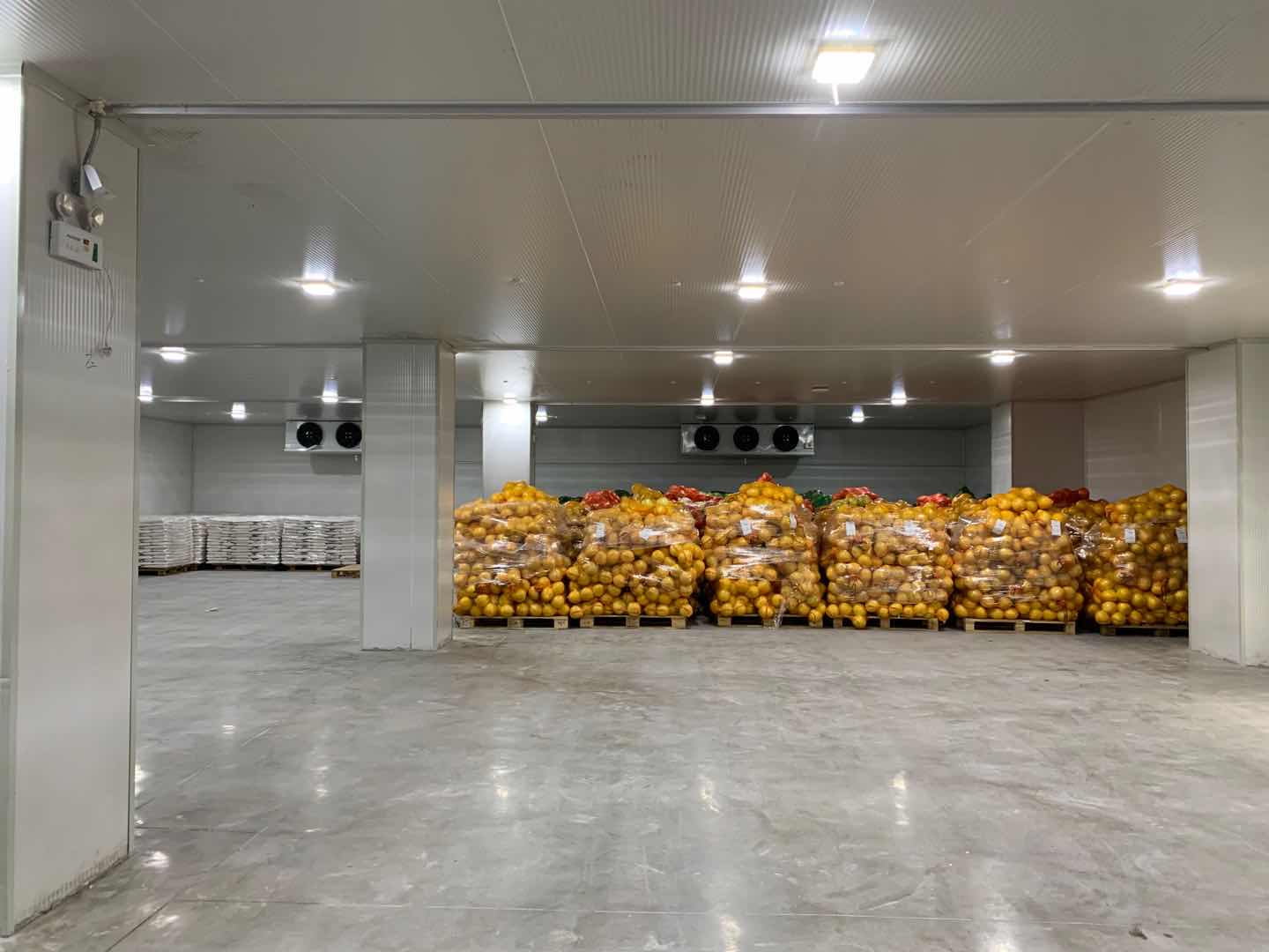 上海天天果园大型冷藏冷冻库建造设计