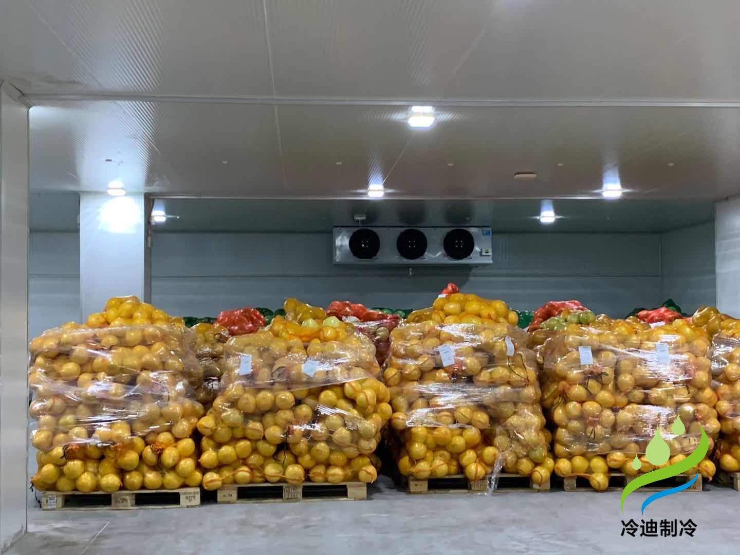 陕西300t猕猴桃农产品水果保鲜冷藏库建造费用？