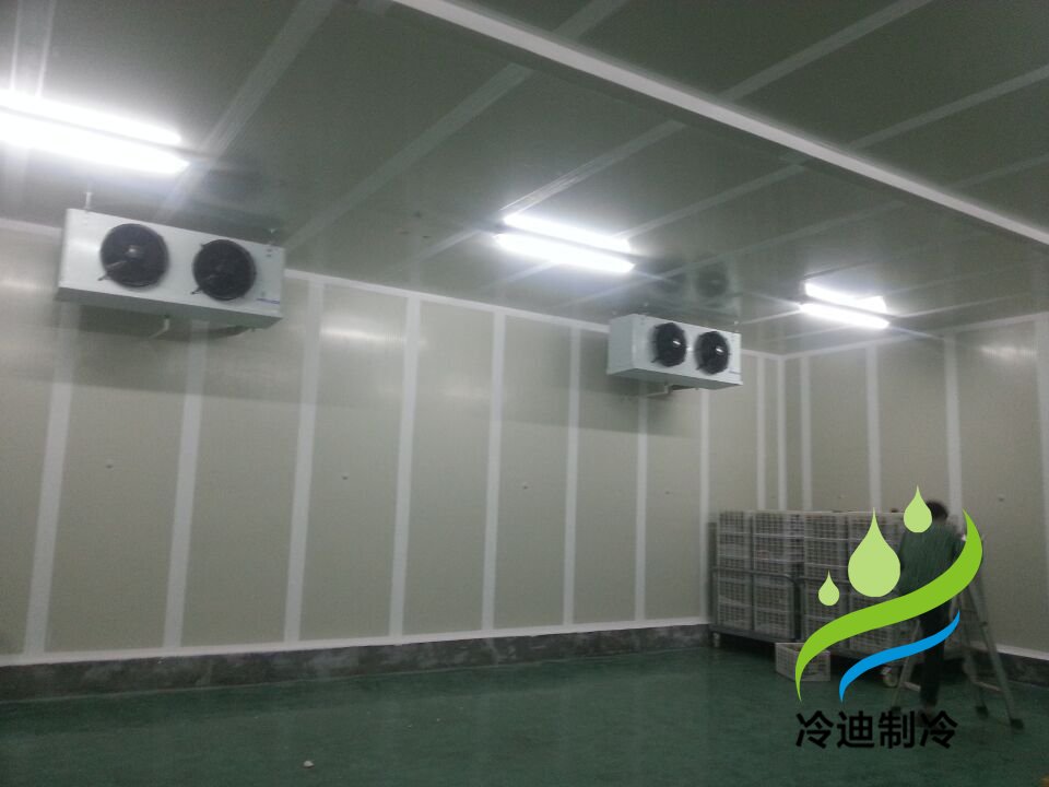 1000吨大型蔬菜冷藏库大蒜冷库设计建造造价表?