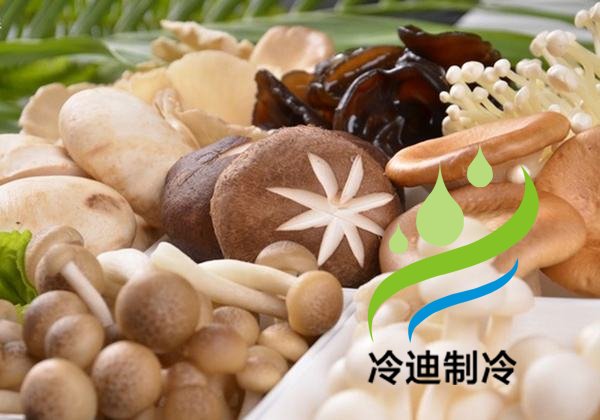 农村设计建造100t菌类蔬菜保鲜冷藏库安装费用?