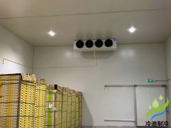 【保鲜冷库安装】建造一个高温蔬菜冷库多少钱