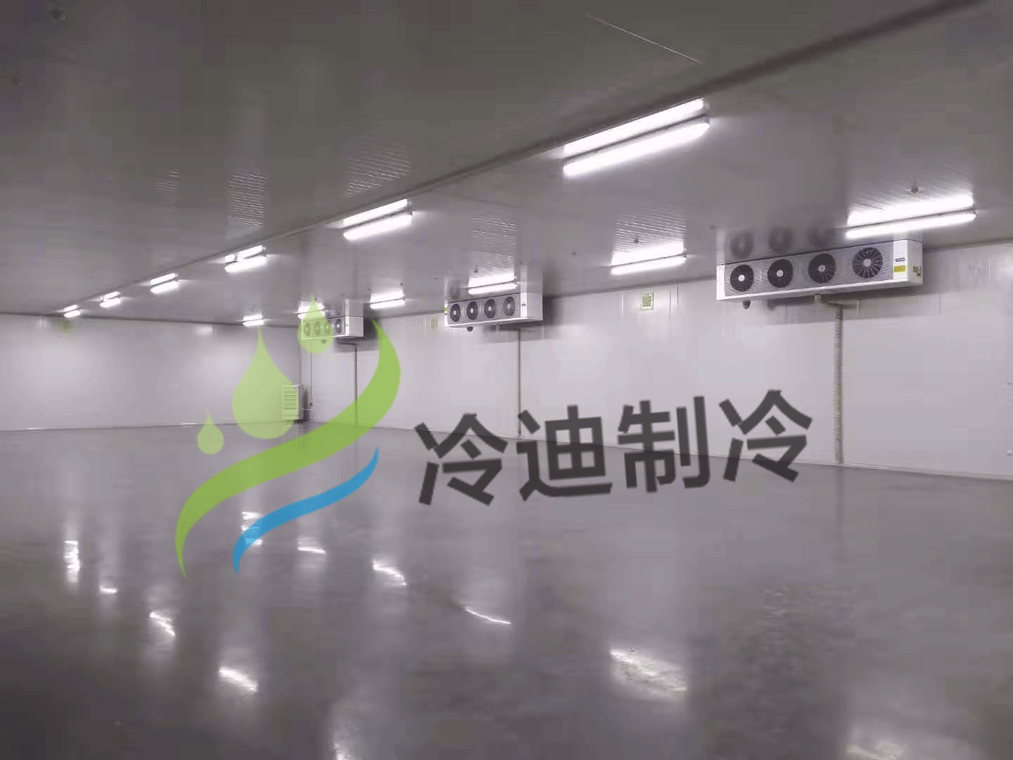 上海建1000吨冷库【大型冷库设计安装】需要多少钱