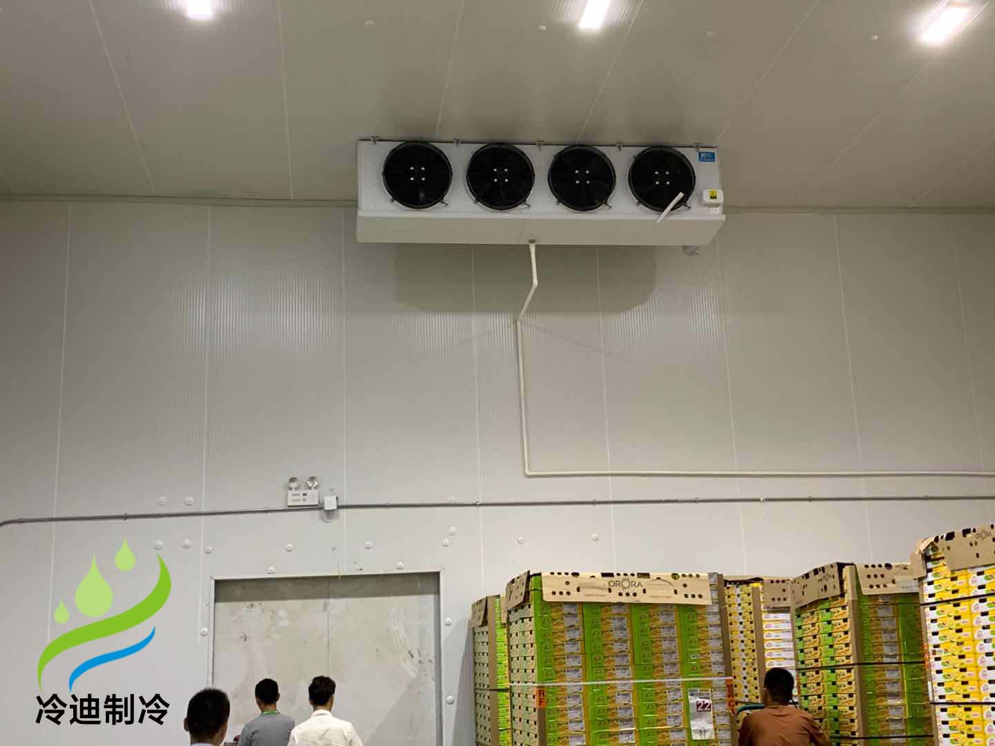 【冷藏库安装造价】上海做个水果冷库需要多少钱