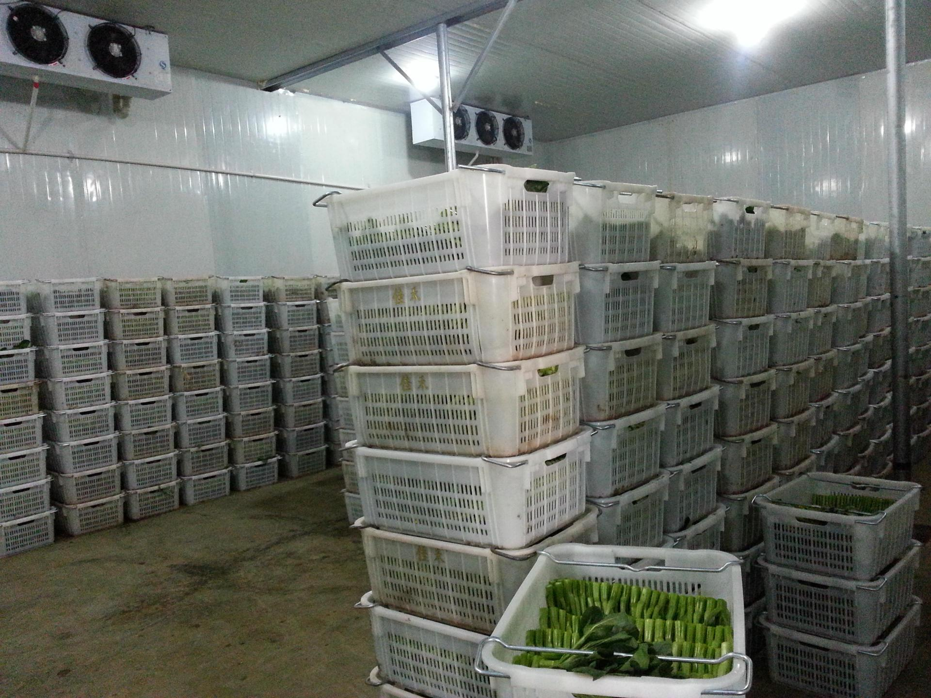 2000平方蔬菜保鲜冷库设计工艺以及造价预算