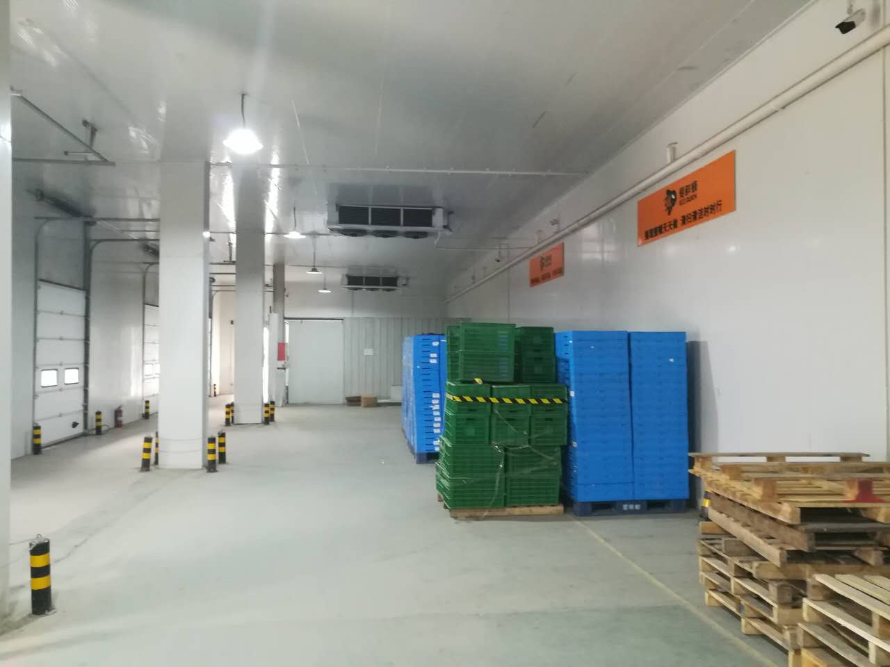 5000平方大型生鲜电商食品物流冷库安装建造方案