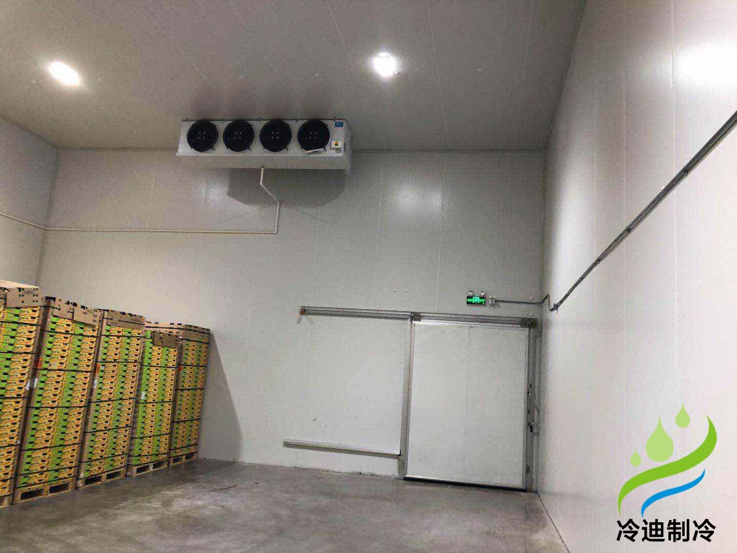 上海安装100平米猕猴桃水果保鲜冷藏库建造需要多少投资成本