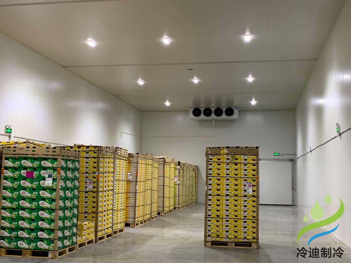 上海安装100平米猕猴桃水果保鲜冷藏库建造需要多少投资成本
