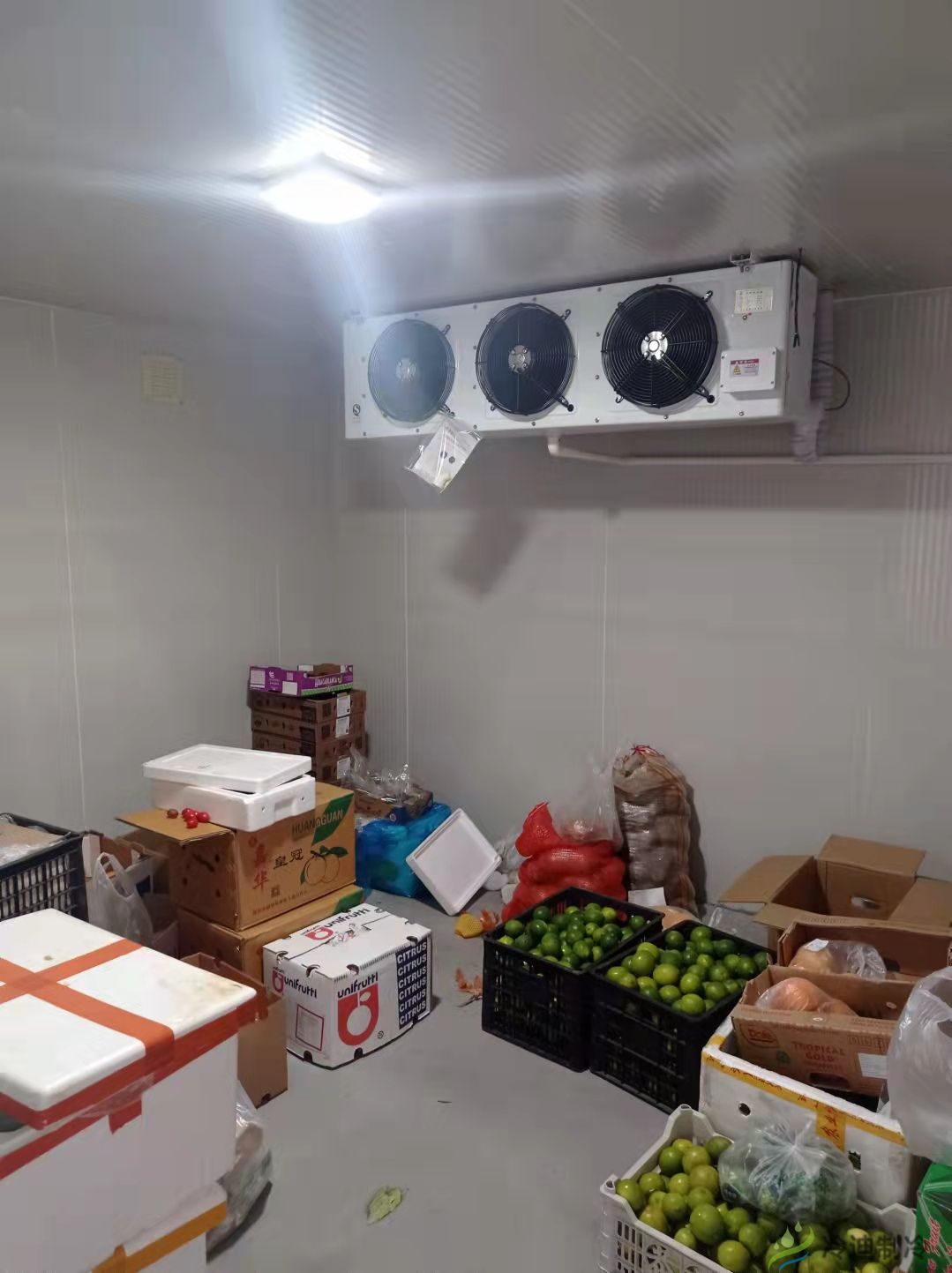生鲜食品果蔬保鲜冷藏冷库安装设计贮藏管理有哪些？